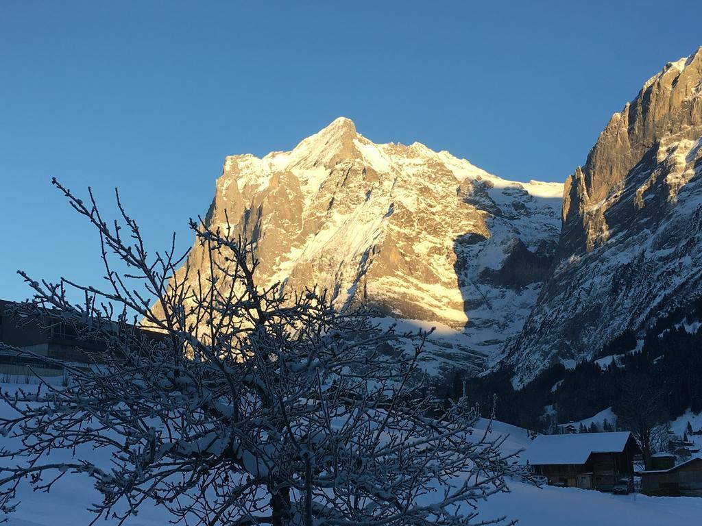 Endweg Apartment Grindelwald Exterior photo